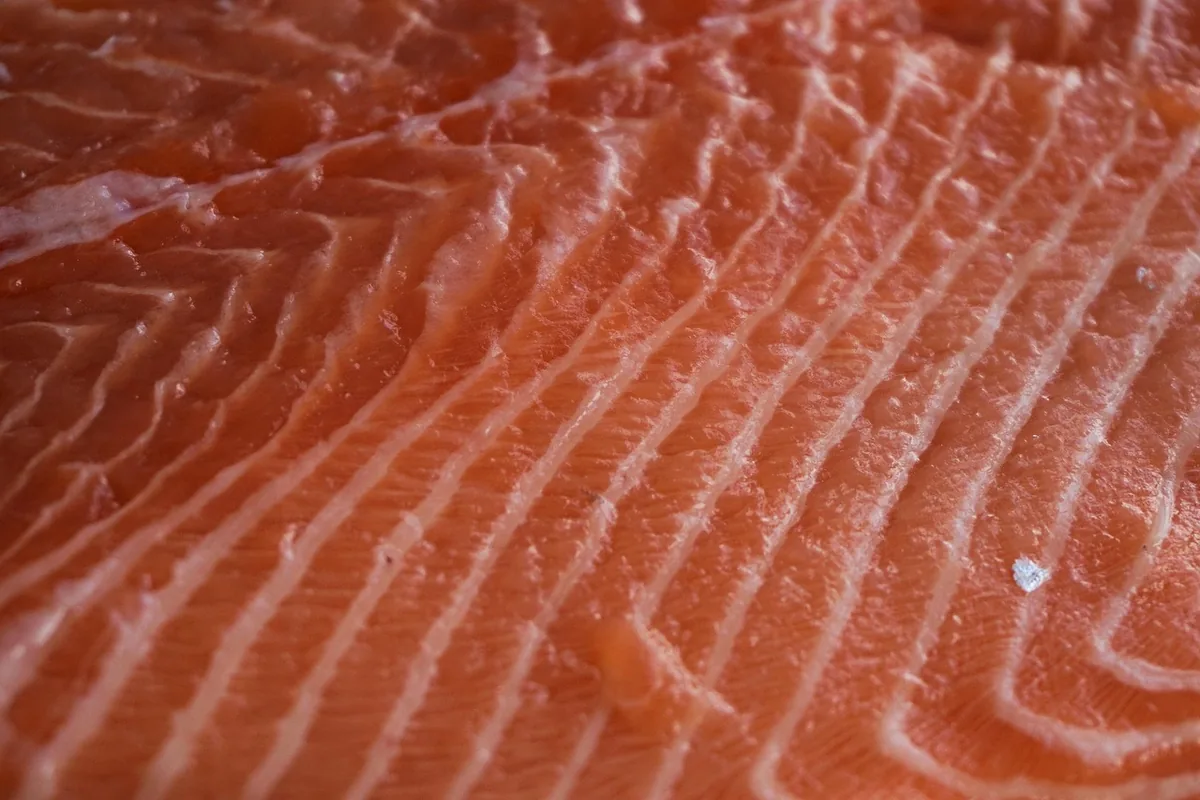 Close-up of a fresh raw salmon fillet, which can be baked and flaked for patties