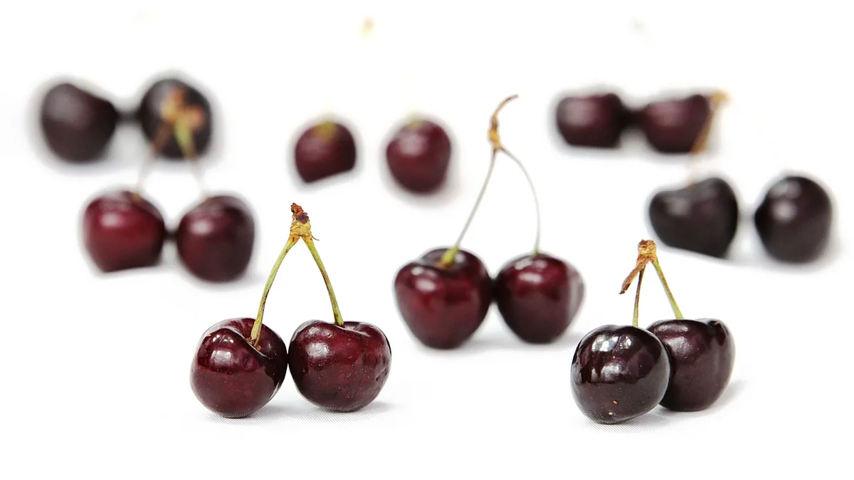 Fresh dark red cherries with stems on a white background