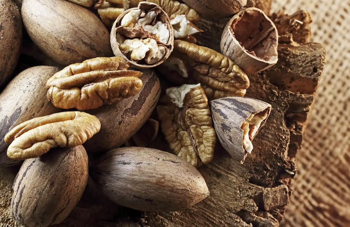 Pecans in and out of their shells on burlap, ready to toast for the topping
