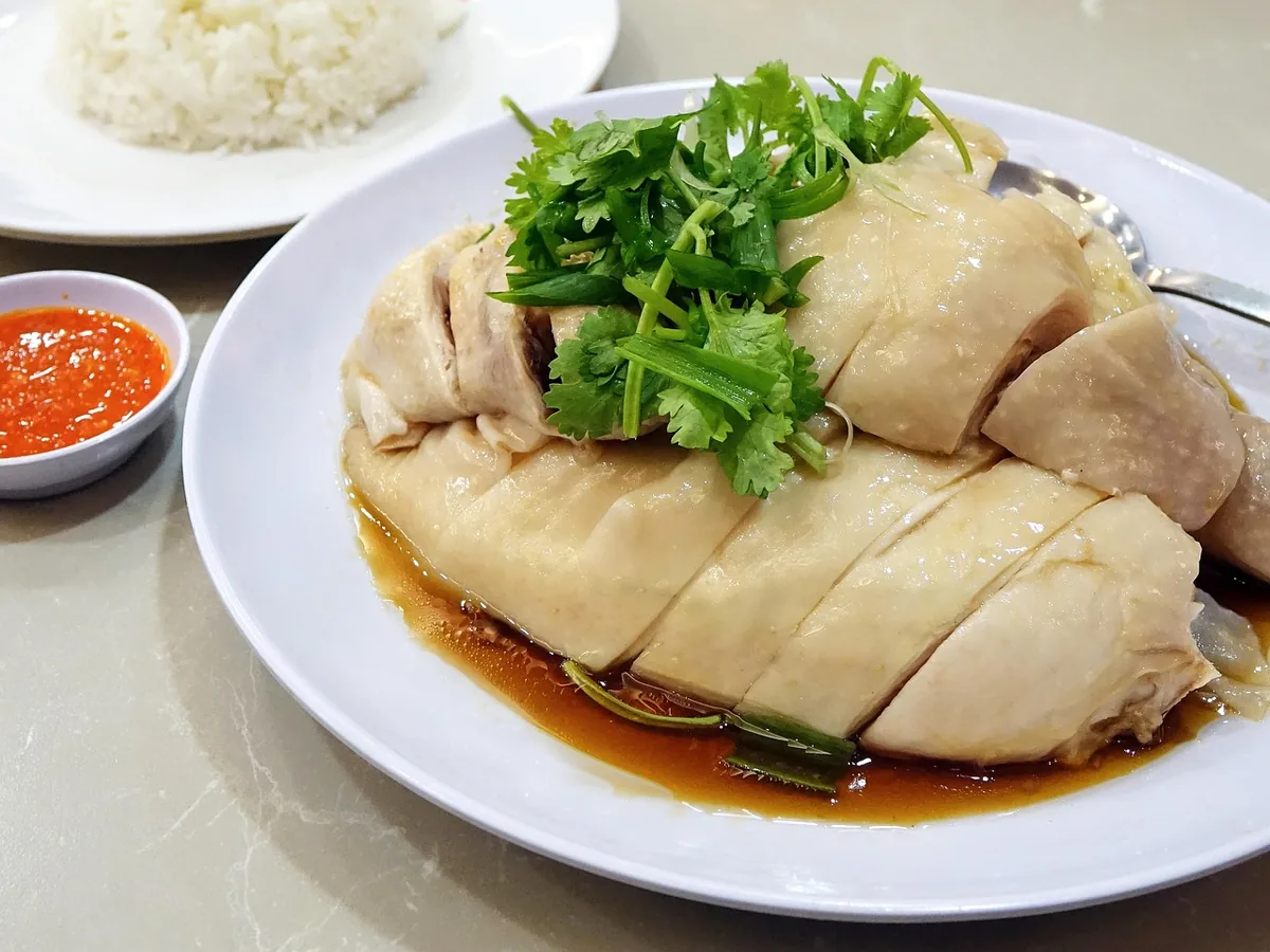Sliced poached chicken with cilantro on a white plate, similar to boiled chicken breast cooked for the right time