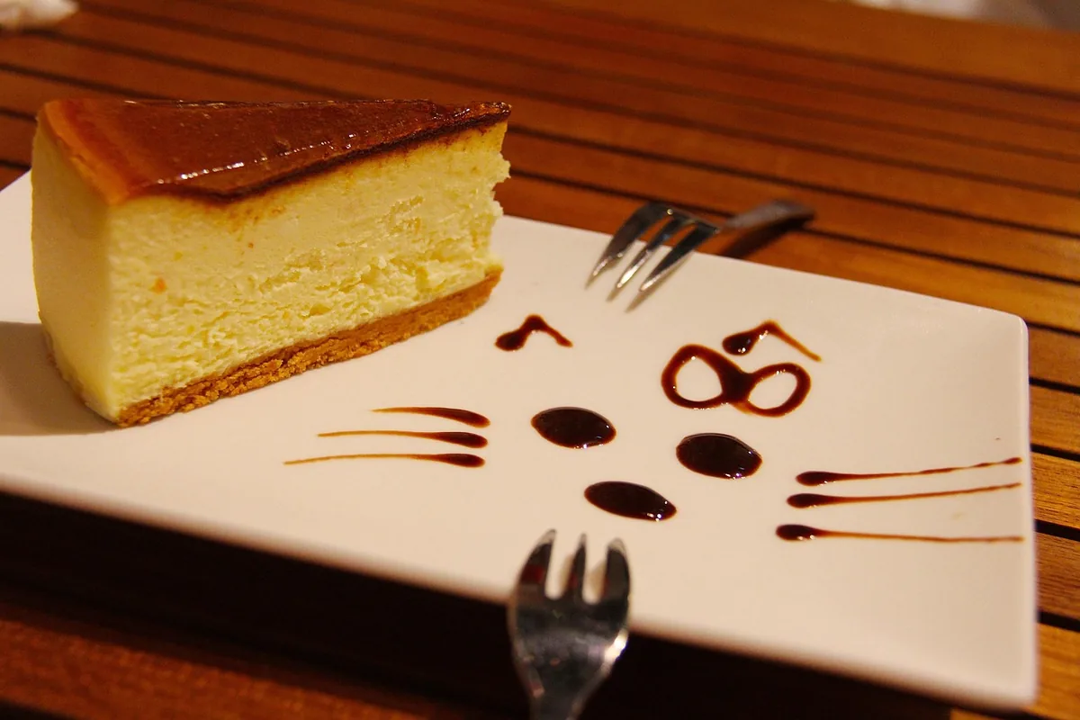 Slice of baked cheesecake with a caramel top and chocolate drizzle on a white plate, similar to this turtle cheesecake