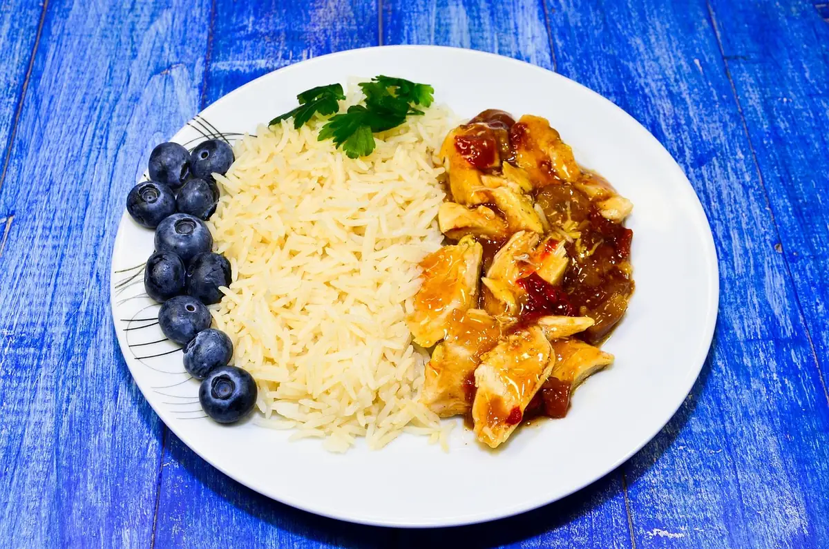 Sliced cooked chicken next to fluffy white rice on a plate, the base of chicken over rice