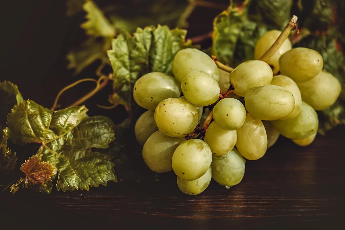 Bunch of green seedless grapes on a wooden table, ready to halve for chicken salad with grapes