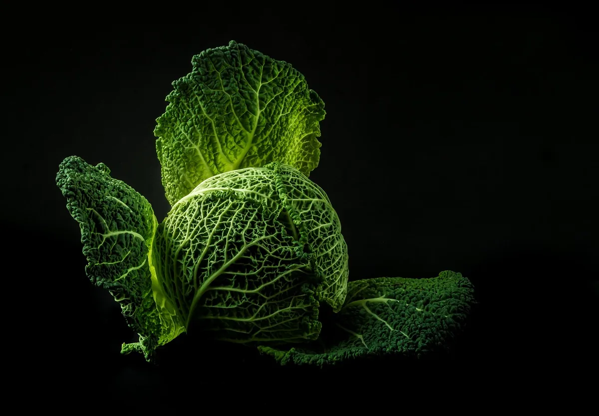Fresh green cabbage head, cut into wedges for corned beef and cabbage