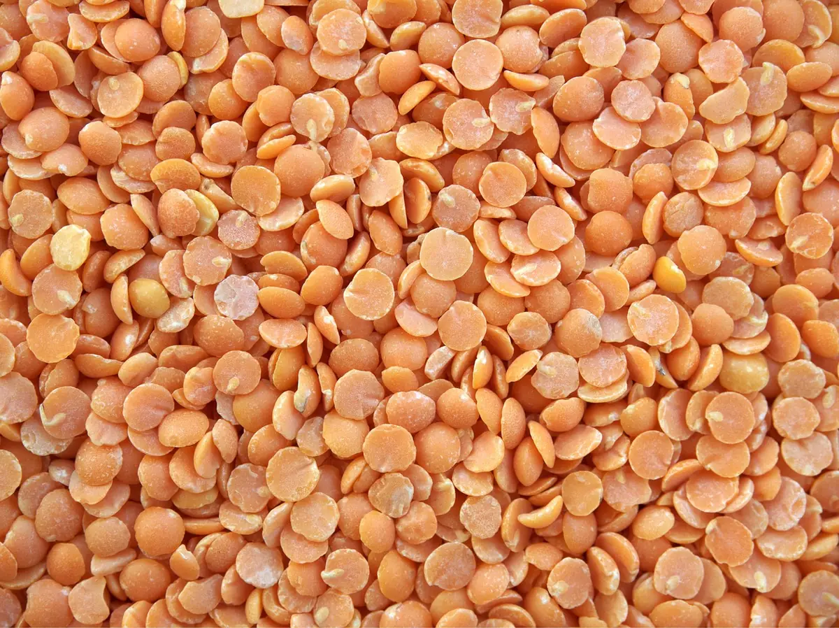 Close-up of dry red split lentils, which cook in 15 to 20 minutes